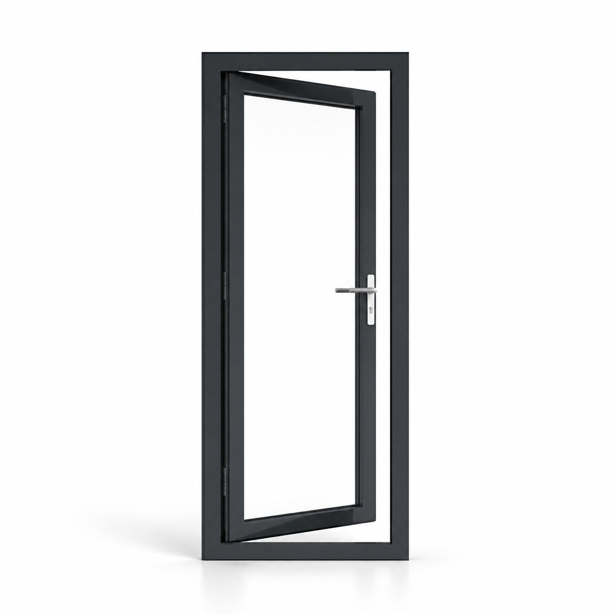 Black Aluminum Single Opening Glass Door